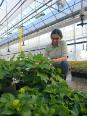 Preet checking plants in a greenhouse