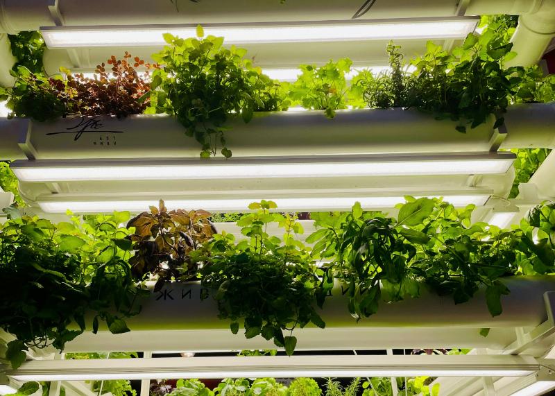 Vertical ag system