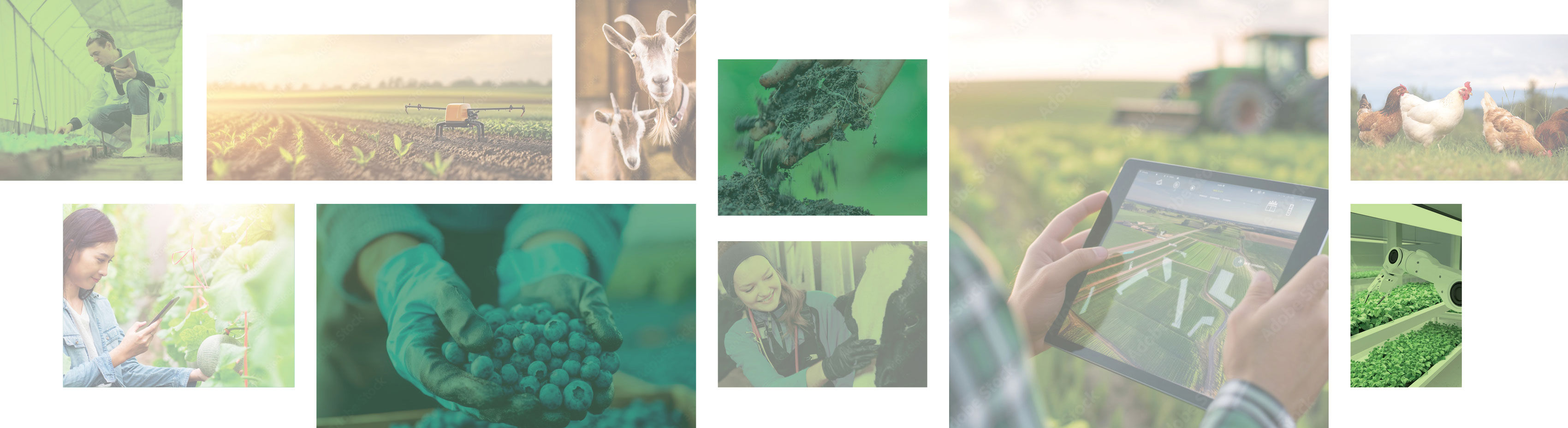 Grounded Innovation 2.0 banner