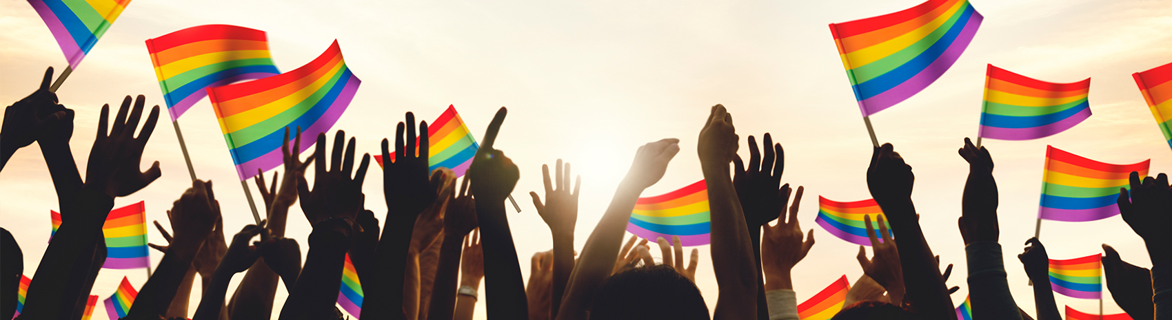 UFV Pride Support